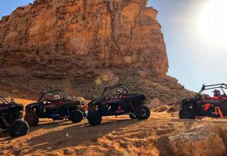 2 seater Polarize buggy service