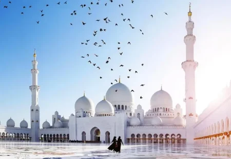 WhatsApp Image 2025-11-03 at 22.58.36_a5cbee81