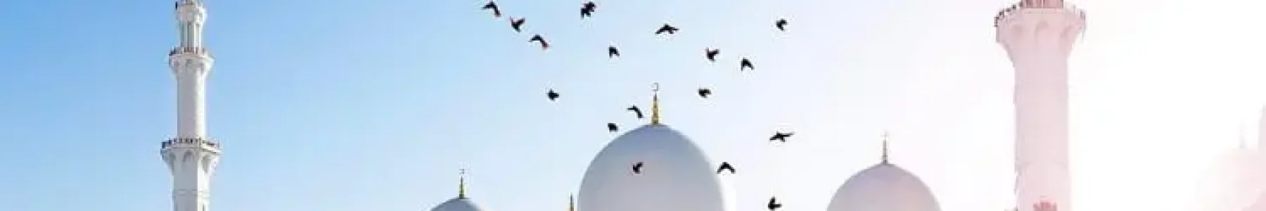 WhatsApp Image 2025-11-03 at 22.58.36_a5cbee81